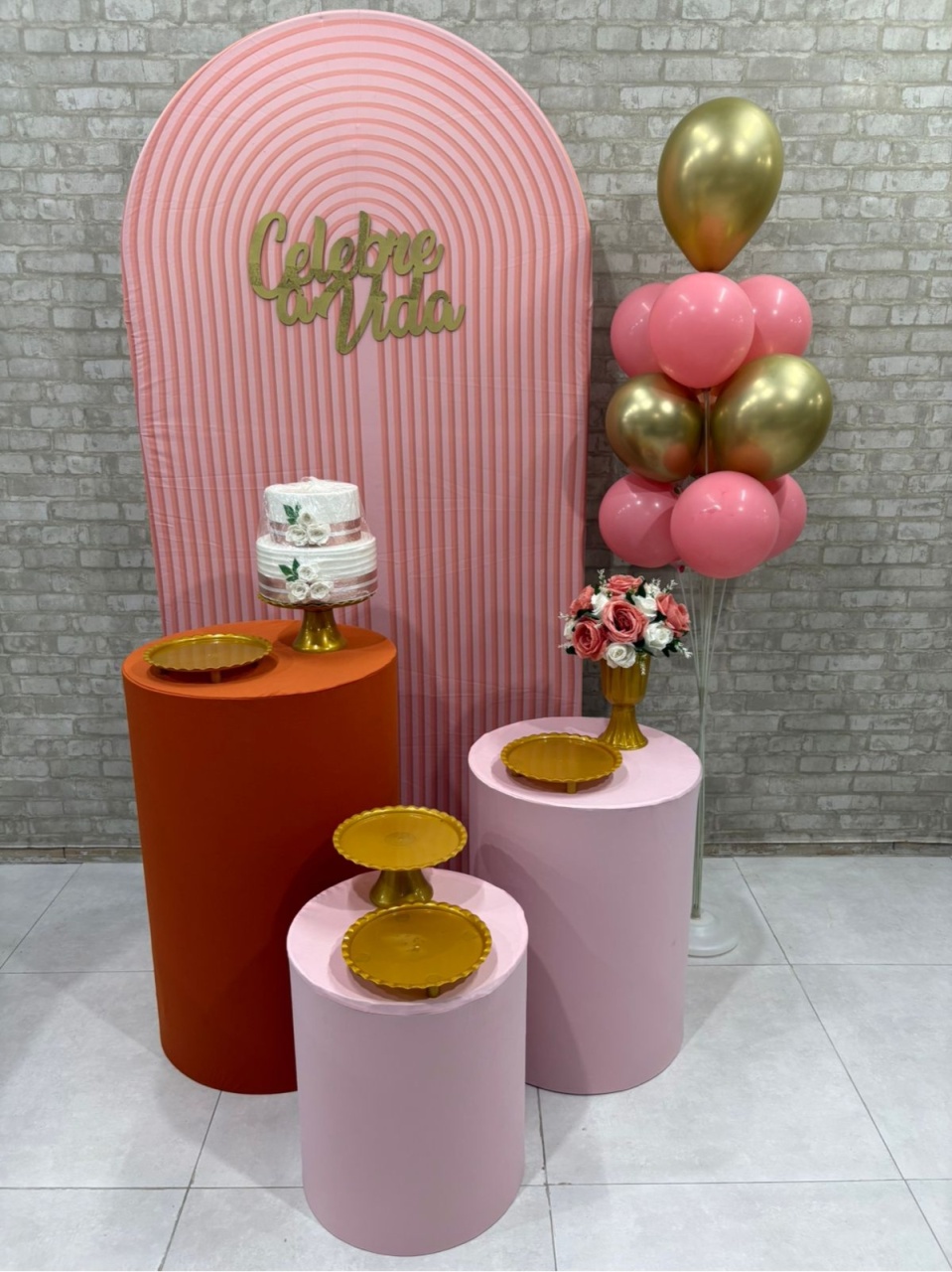 Celebre A Vida Kit Prata (3) - Iara Maria Arruda da Silva