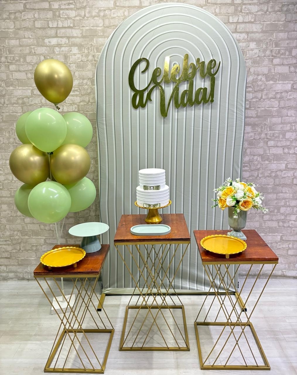 Celebre A Vida  Kit Prata       - Iara Maria Arruda da Silva