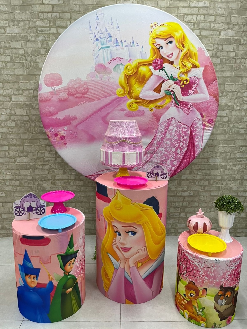 Princesa Aurora Kit Prata    - Iara Maria Arruda da Silva