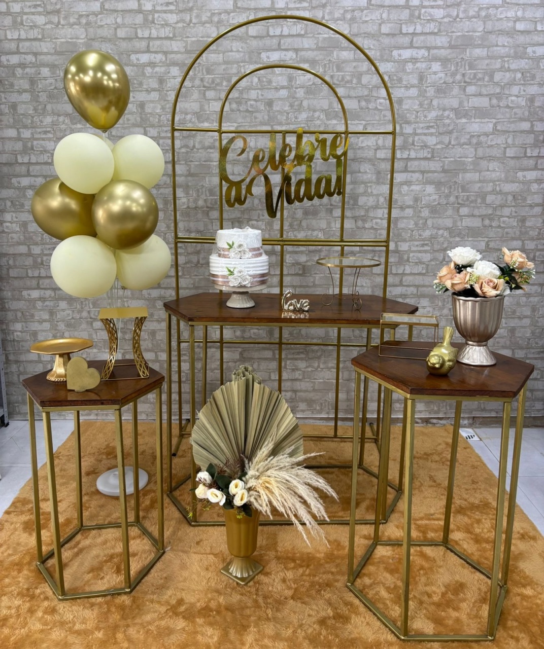 Celebre A Vida  Kit Ouro  - Iara Maria Arruda da Silva
