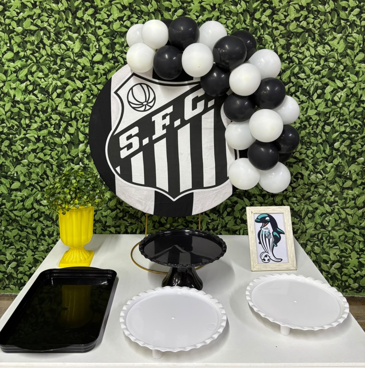 Mini Kit Santos - Iara Maria Arruda da Silva