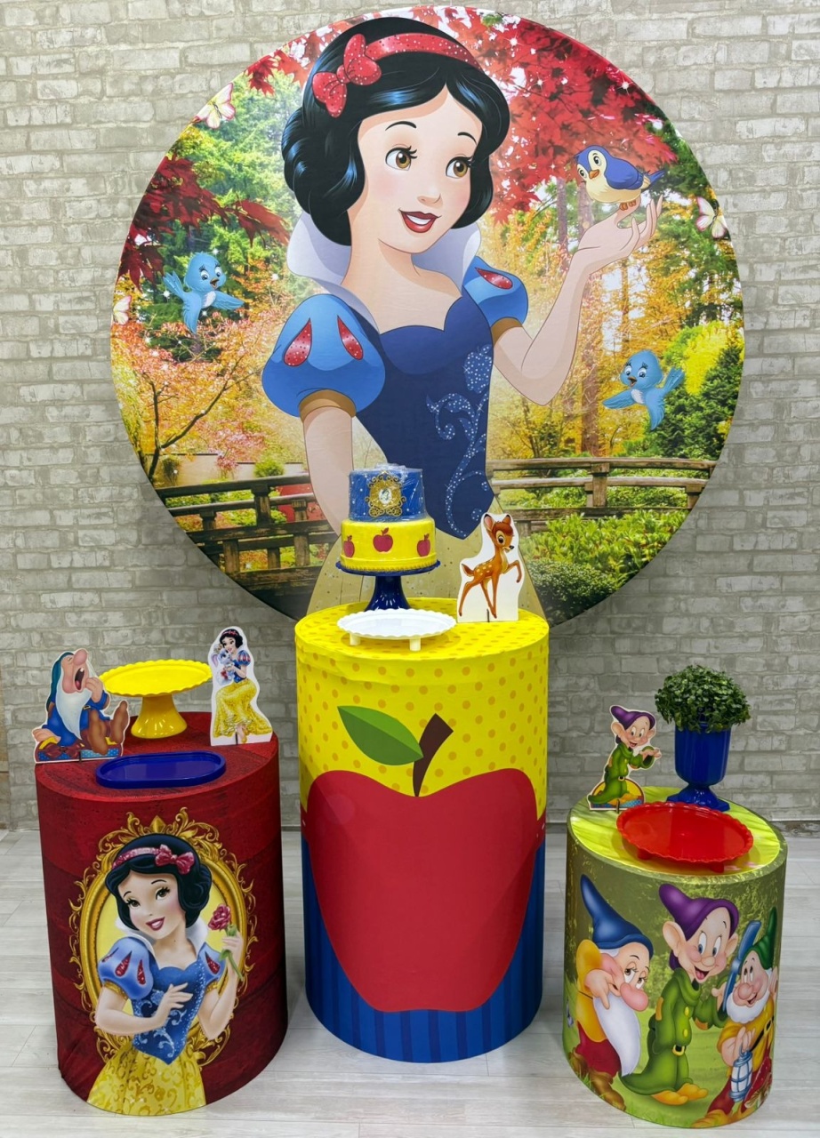 Branca de Neve  Kit Prata   - Iara Maria Arruda da Silva
