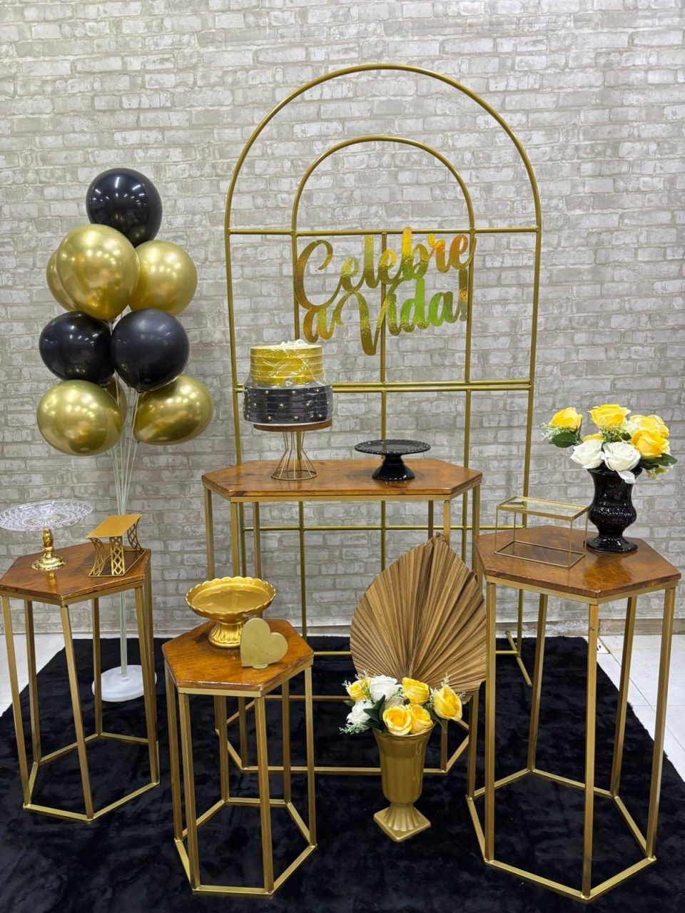 Celebre A Vida  Kit Ouro   - Iara Maria Arruda da Silva