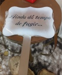 Plaquinhas Para Daminhas Mdf - imagem 4