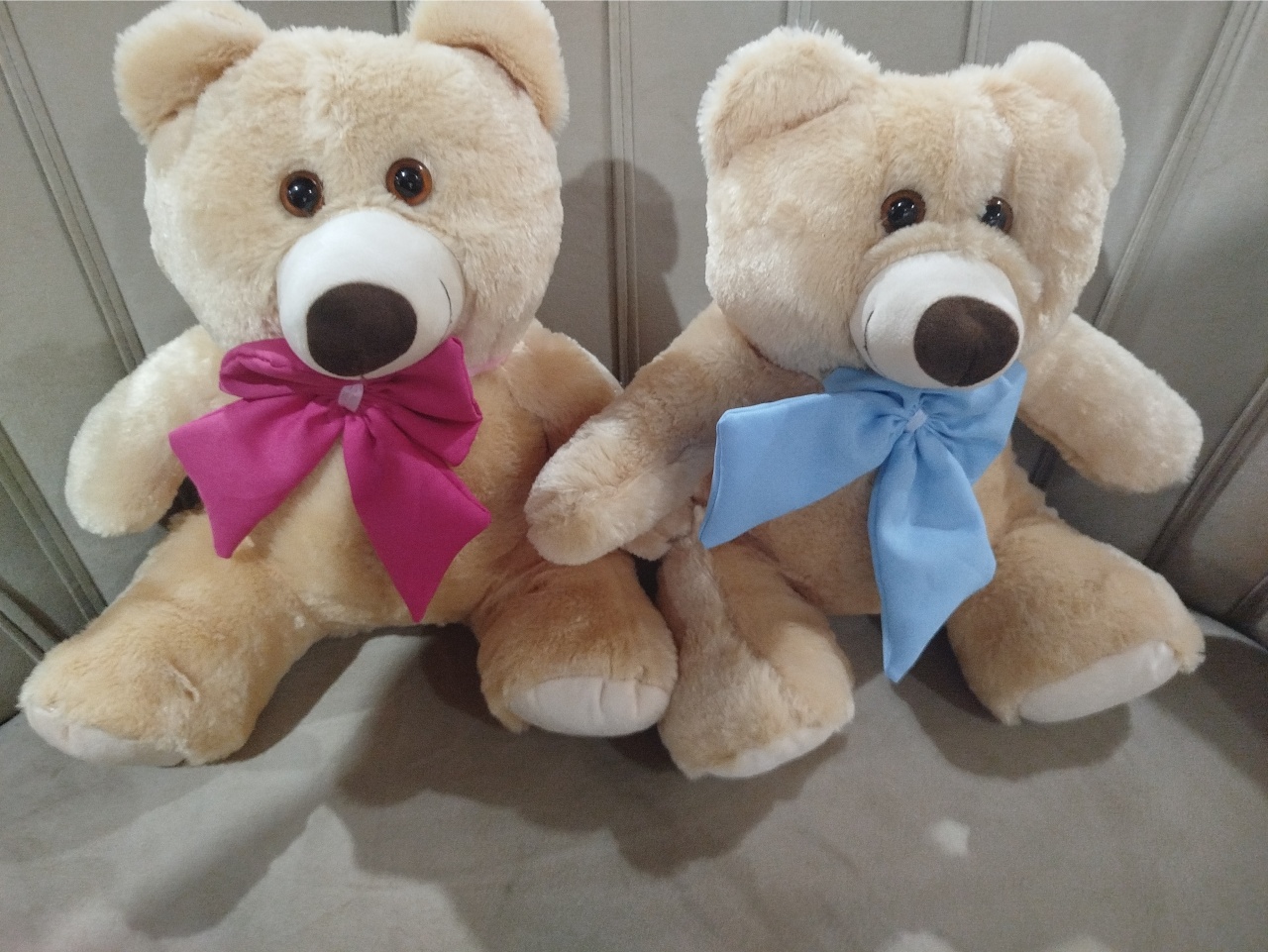 Casal de Urso Medio - EGL Locações Ltda