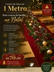Arranjo Rasteiro de Mesa 1 Metro - imagem 1