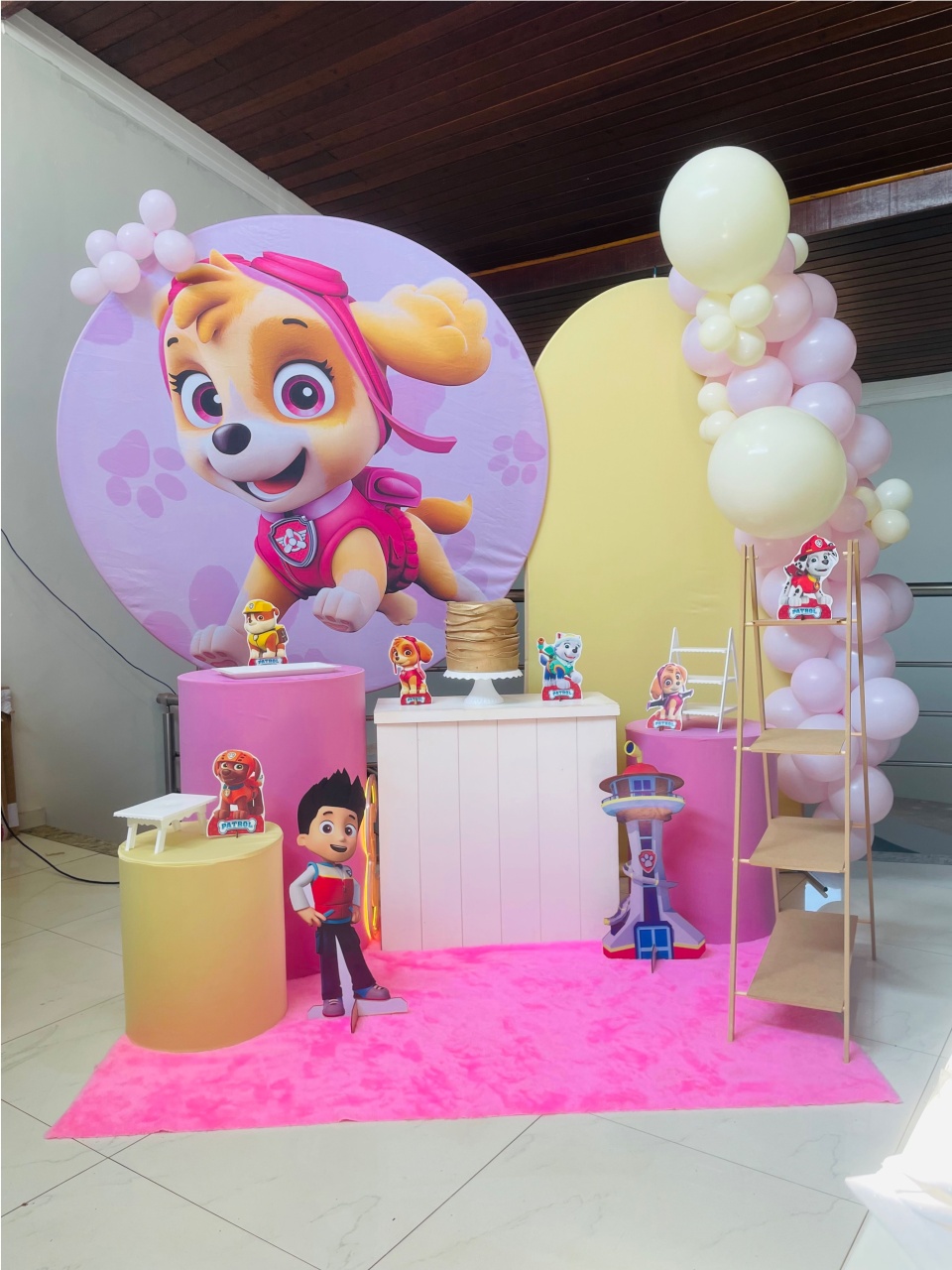 Sky Patrulha Canina Kit Gg - Pegue E Monte - Pallacius Festas