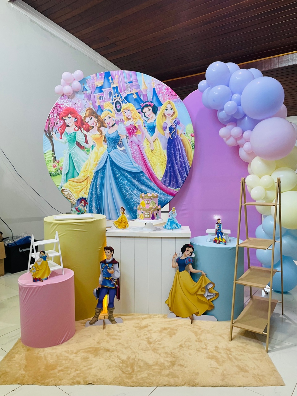 Pegue E Monte Kit G1 Princesas  - Pallacius Festas