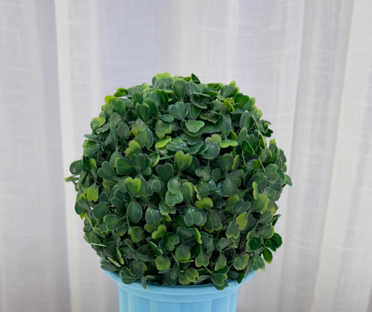 Buxinho Verde  - alegriamagicadecoracao