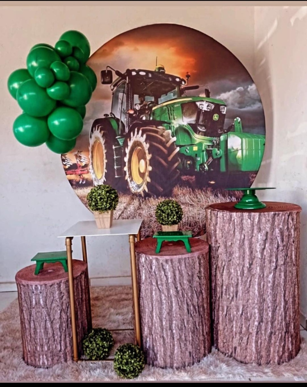 Alugue Tema Para Festa Decorativa Agro - Mamãe Decory