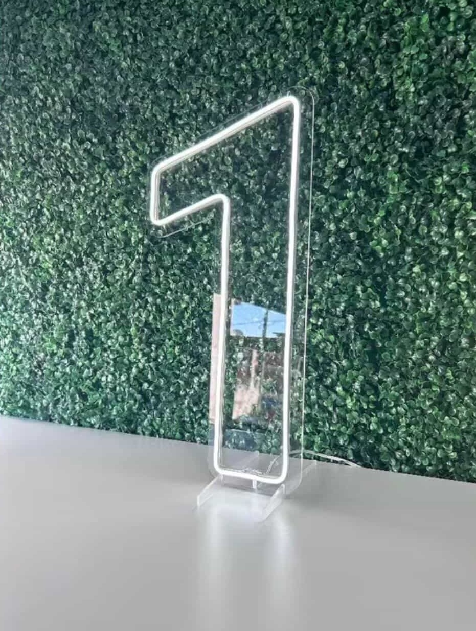 Led 50Cm (Nº 1)  (Cópia) - VIVAZ DECORAÇÕES - PEGUE E MONTE