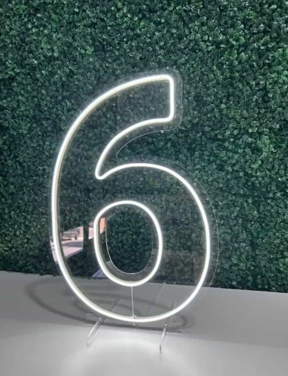 Led 50Cm (Nº 6)  - VIVAZ DECORAÇÕES - PEGUE E MONTE