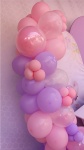 Jardim Rosa  - imagem 3