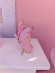 Jardim Rosa  - imagem 2