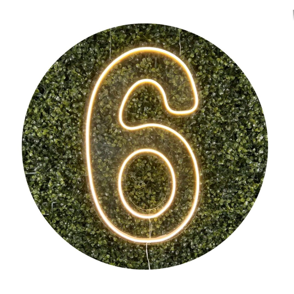 Led N°6 - Peg e monte da drica