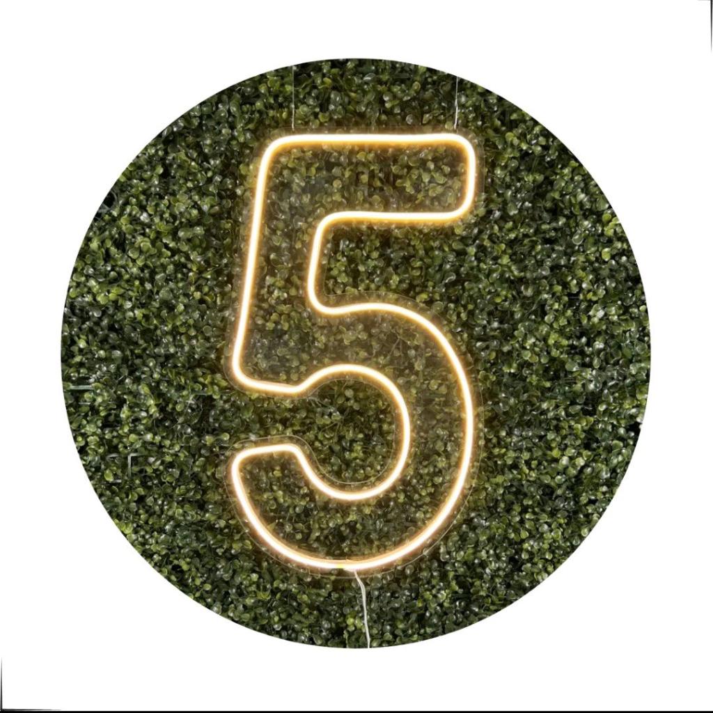 Led N°5 - Peg e monte da drica