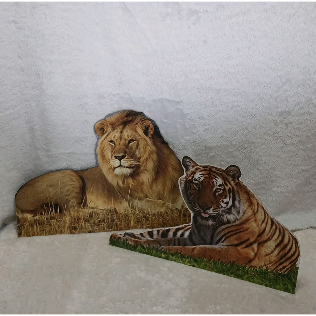 Display  Selvagem - Peg e monte da drica