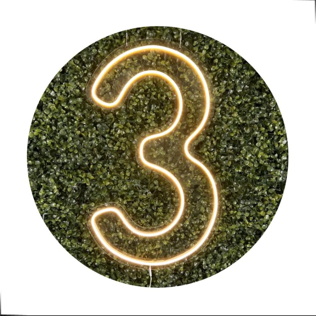 Led N°3 - Peg e monte da drica