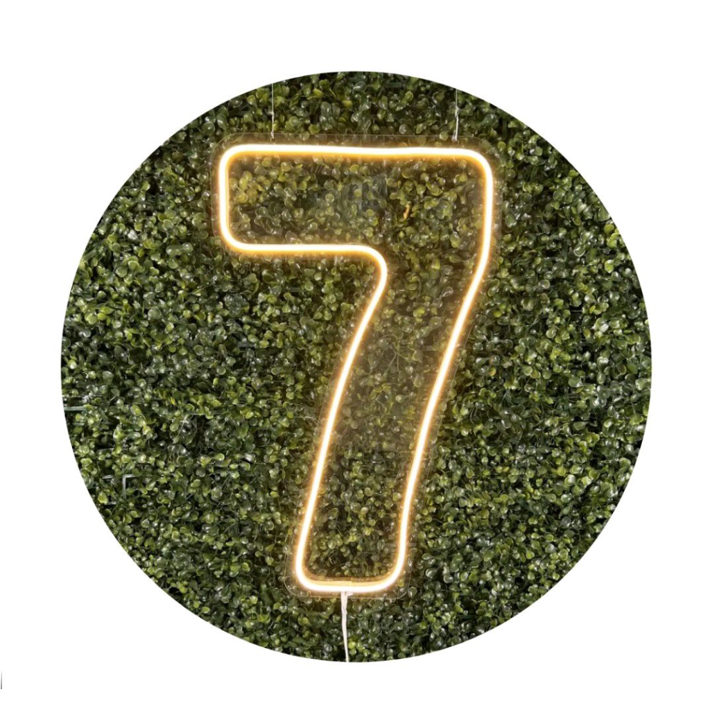 Led N°7 - Peg e monte da drica