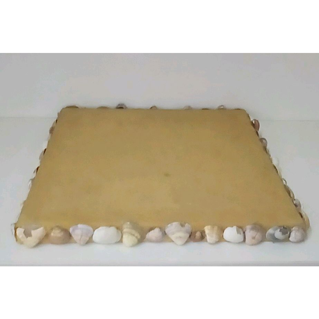 Bandeja Para Doces Conchinhas - Peg e monte da drica