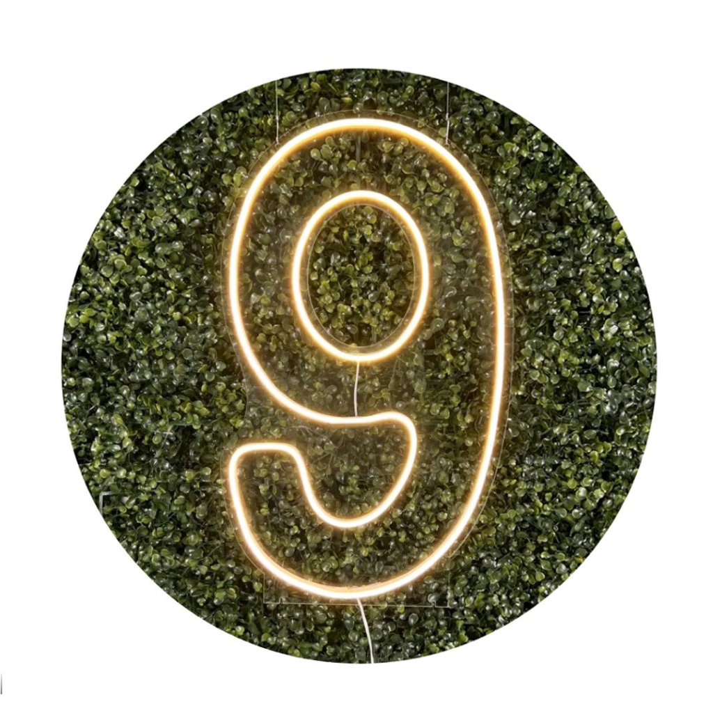 Led N°9 - Peg e monte da drica