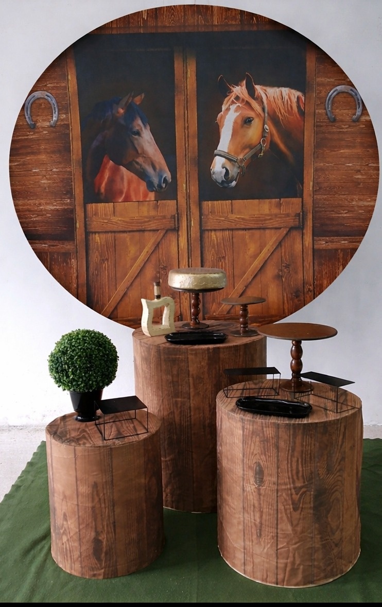 Kit Country 2 Cavalos - Peg e monte da drica