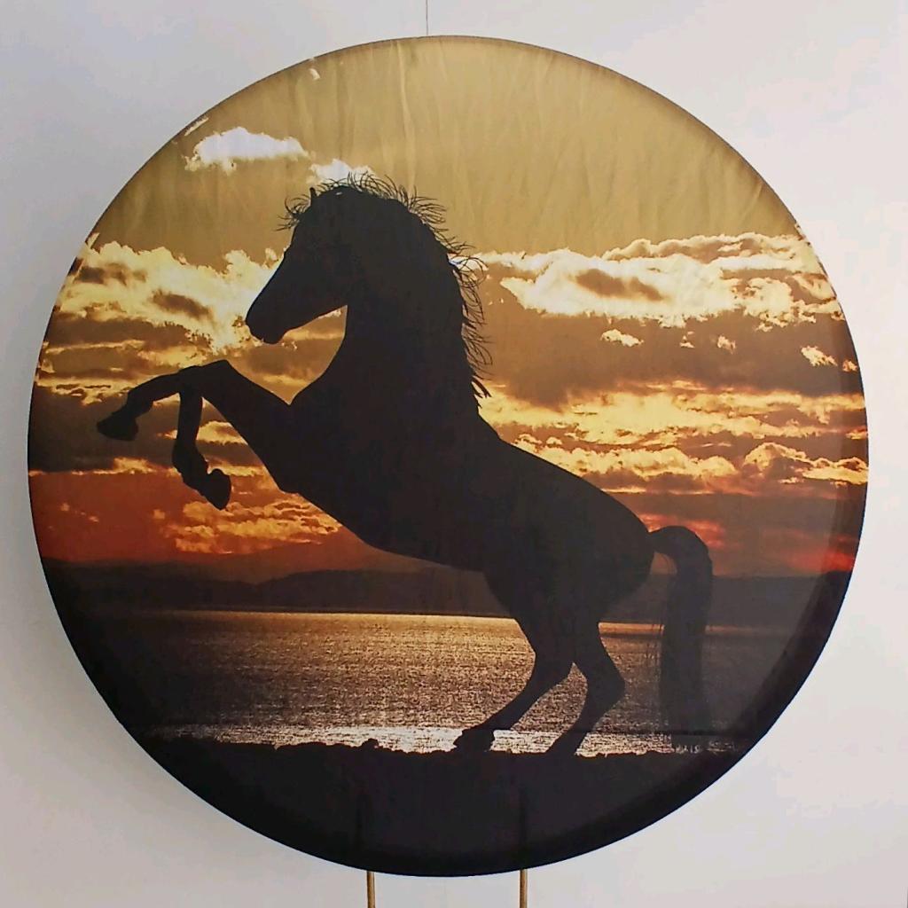Tecido Cavalo - Peg e monte da drica