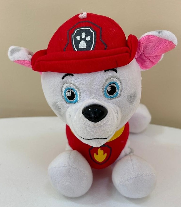 Patrulha Canina Marshall - FABY FESTAS 