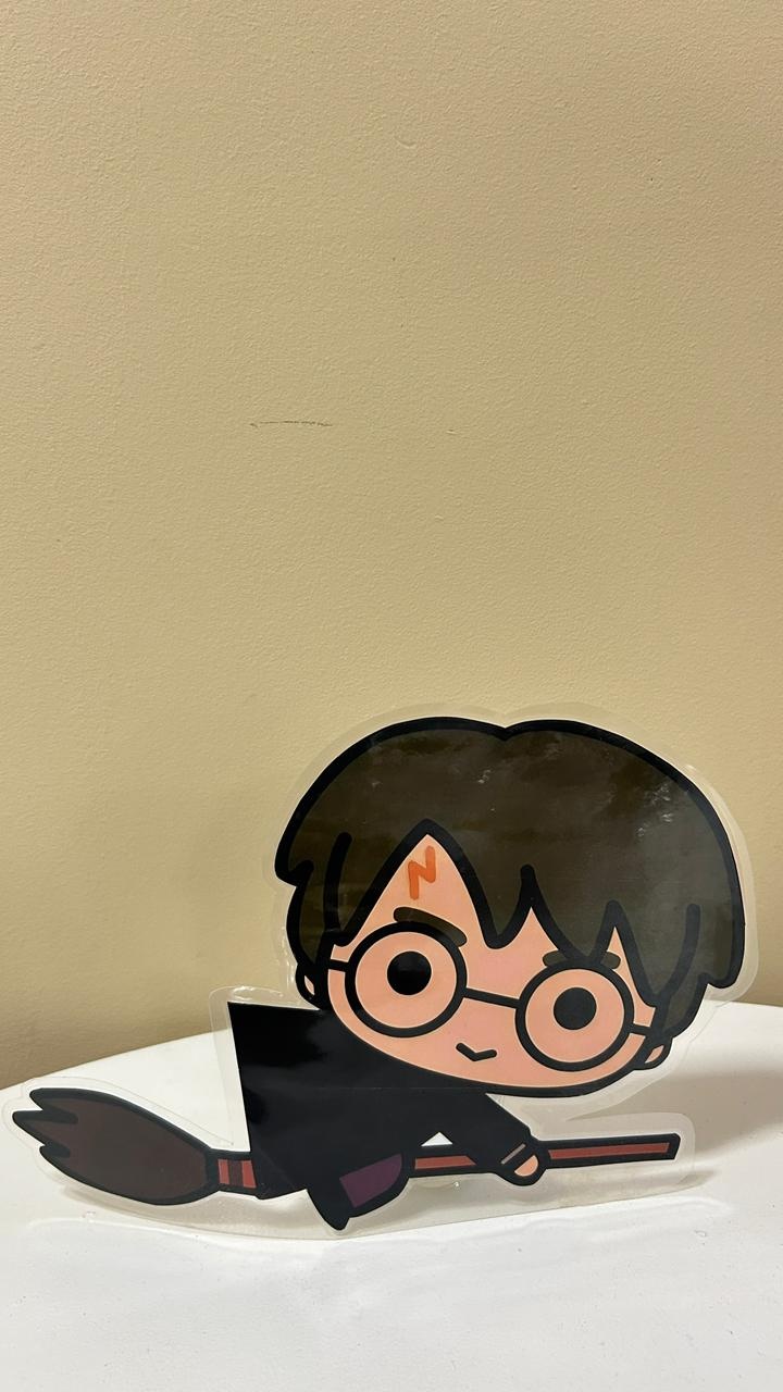 Display Harry Potter - FABY FESTAS 