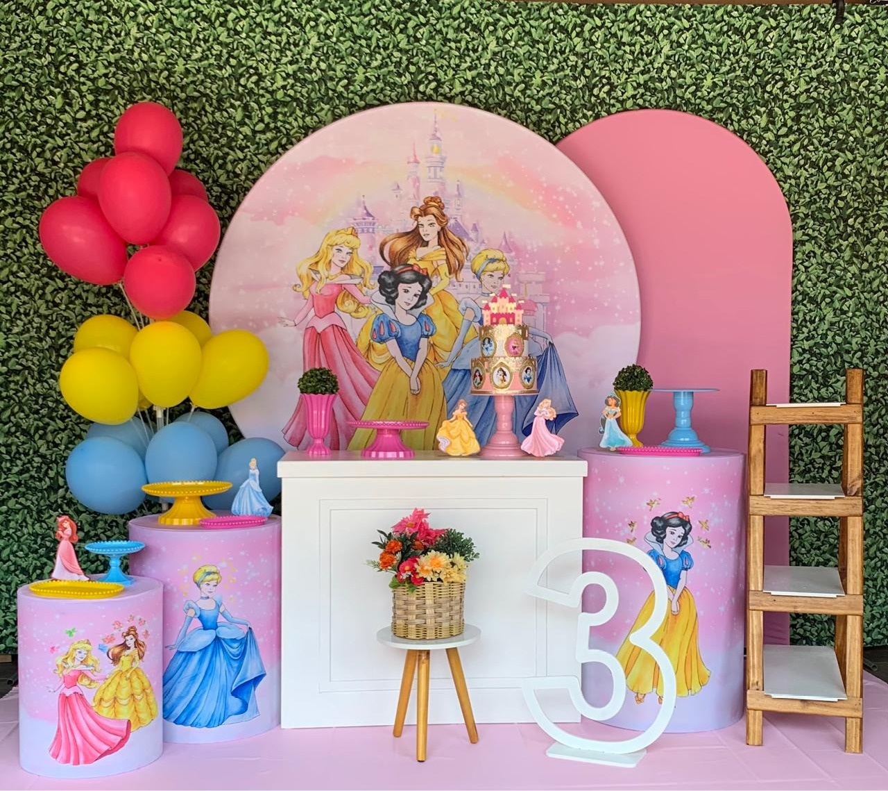 Princesas da Disney - Premium - Pegue Monte Araucária