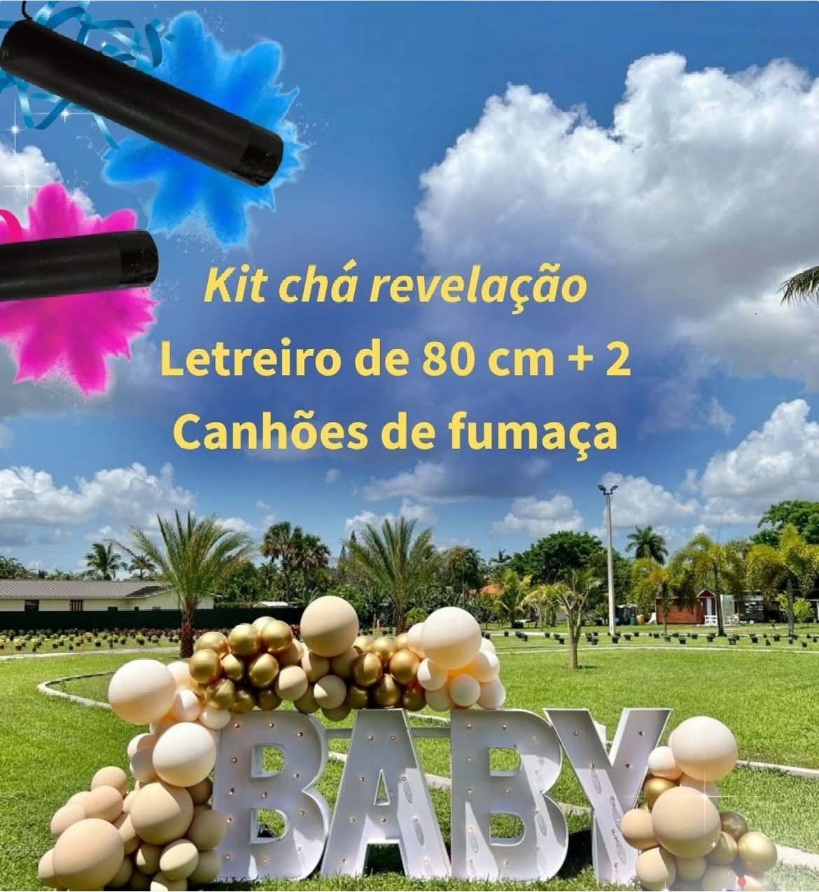 Kit Chá Revelação ( Balão Não Incluso) - GABRIELY COSTA DOS SANTOS HIPOLITO