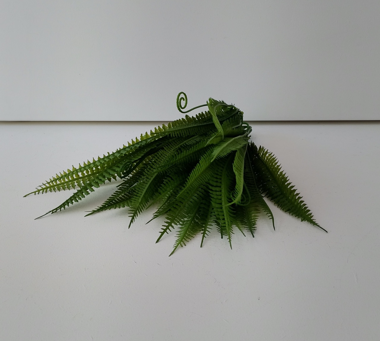 Arranjo Samambaia Artificial  - Iris Gueiros 