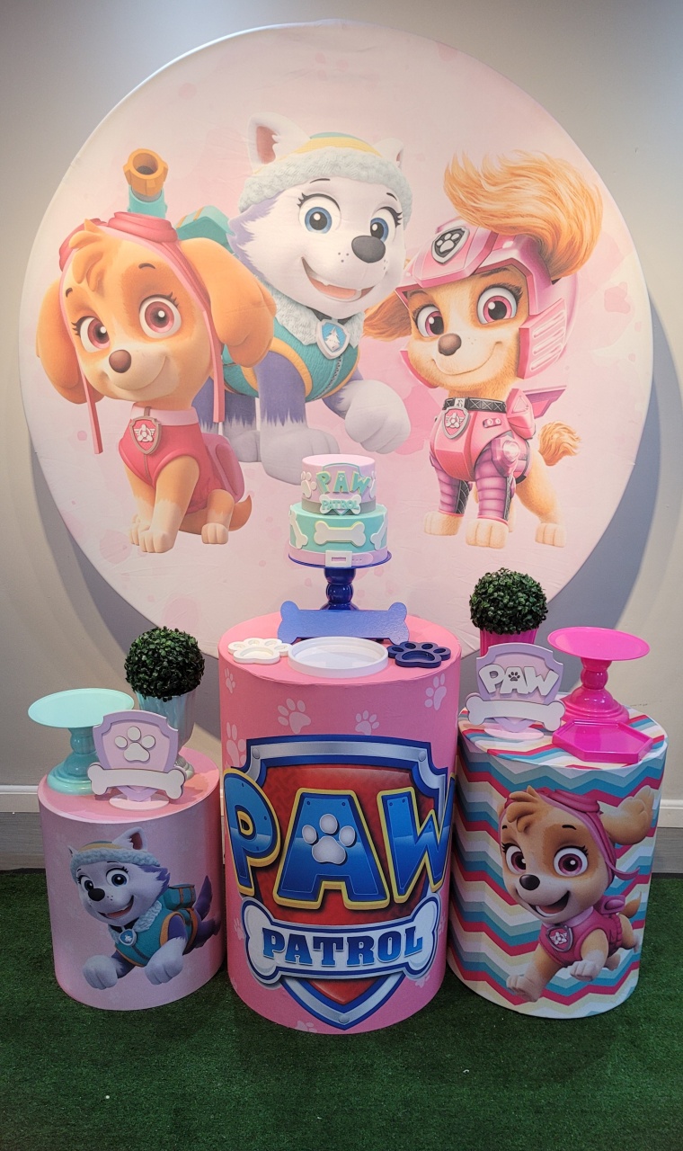 Patrulha Canina M Feminino - Mb festas & decorações
