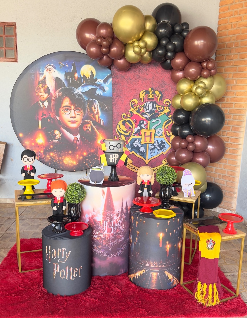 Harry Potter - Claudia Torrieri