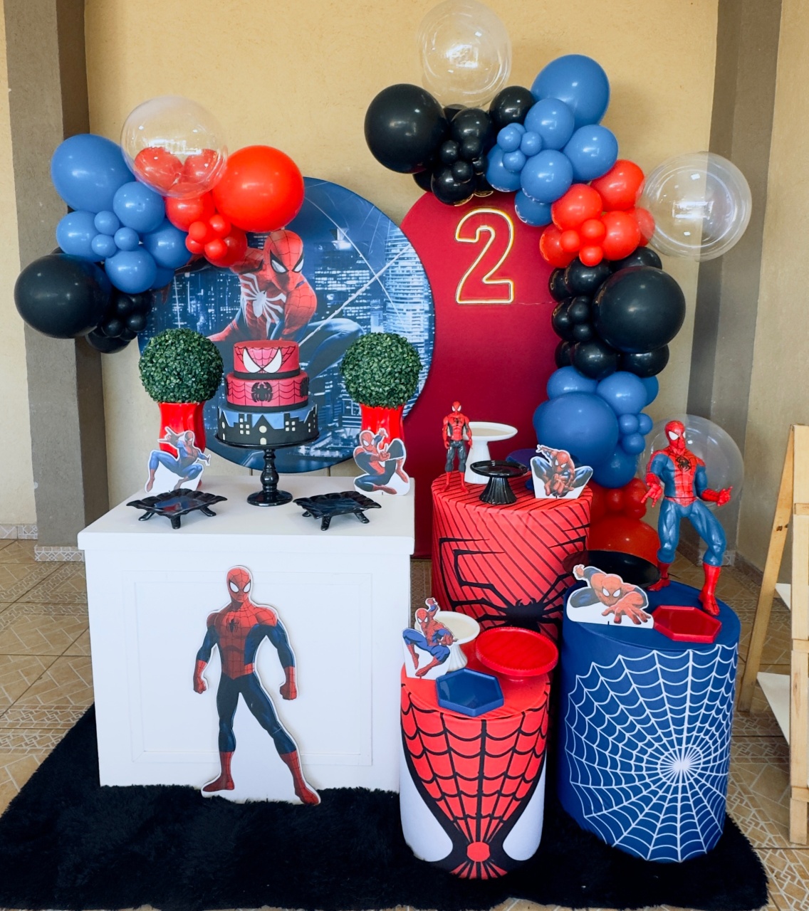 Homem Aranha - Claudia Torrieri