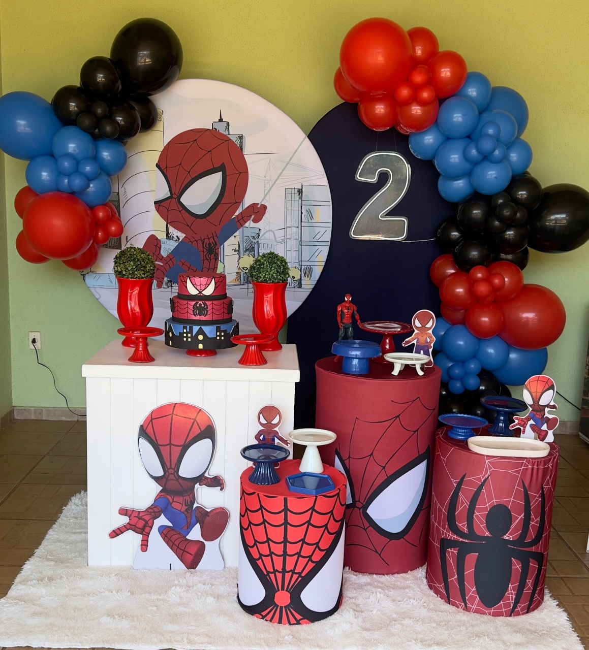 Homem Aranha Baby - Claudia Torrieri