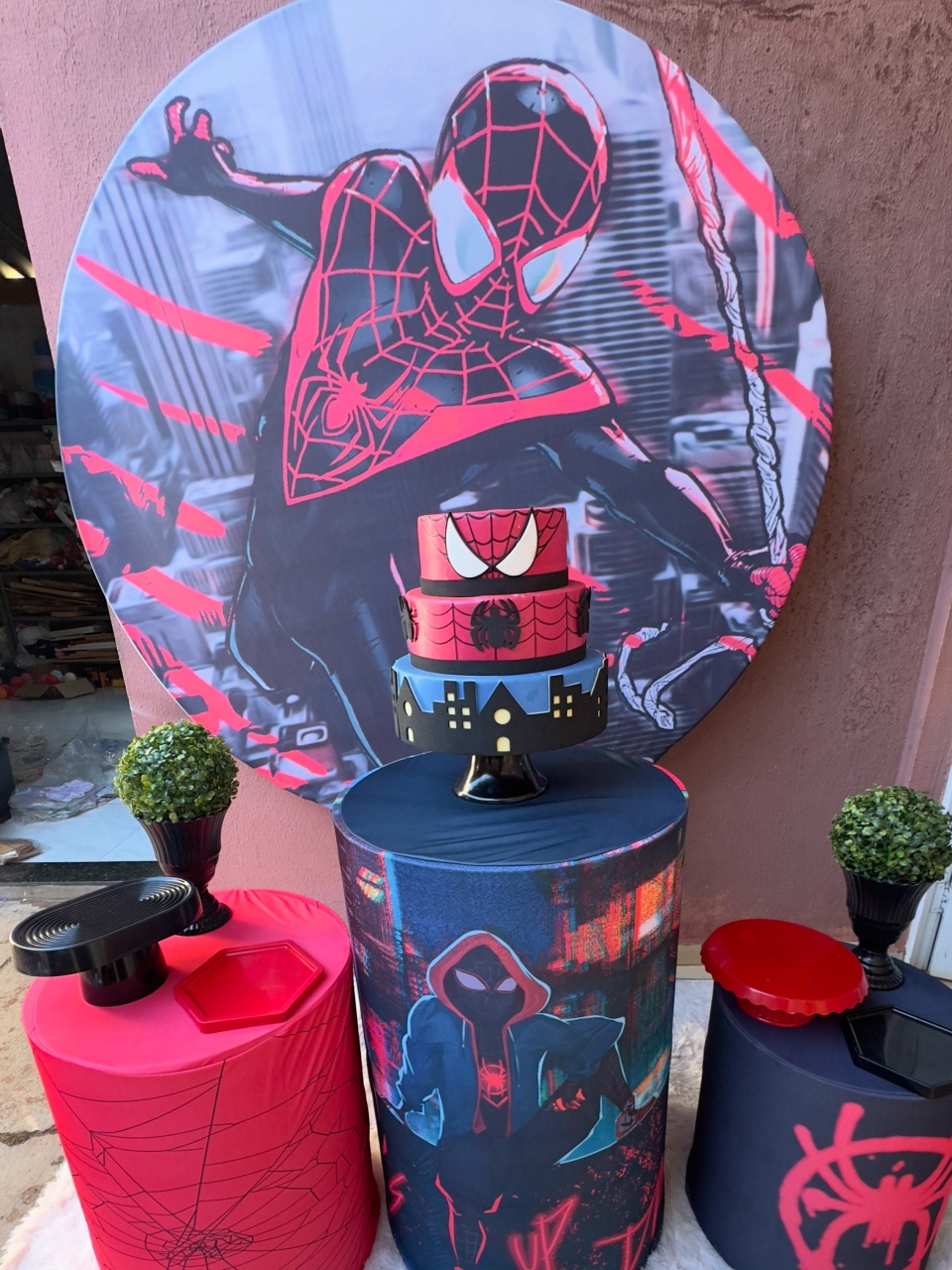Homem Aranha Preto Pegue E Monte - Claudia Torrieri