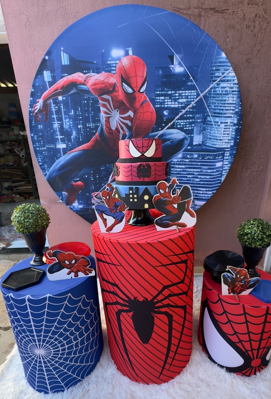 Homem Aranha Pegue E Monte - Claudia Torrieri