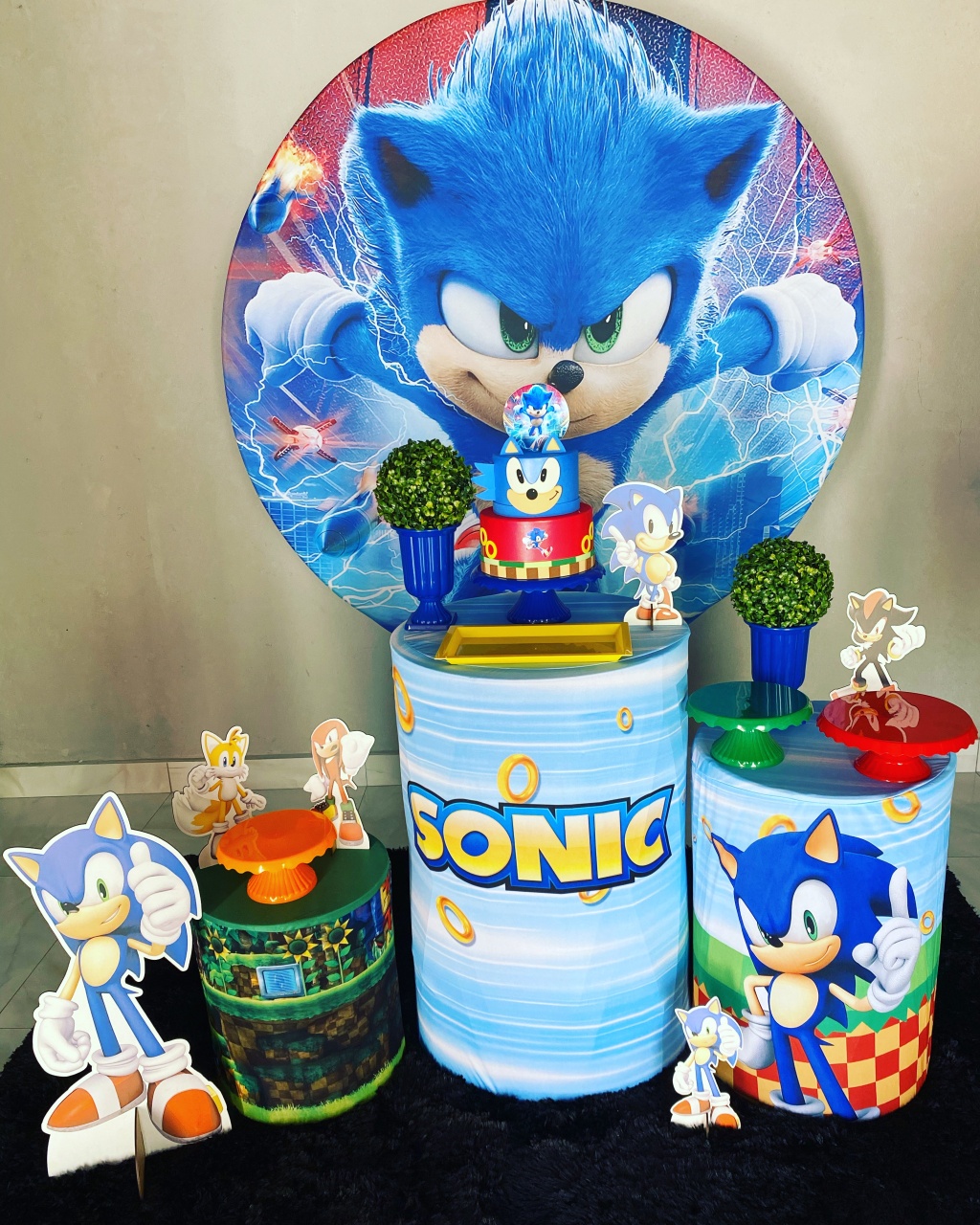 Sonic Pegue E Monte - Claudia Torrieri
