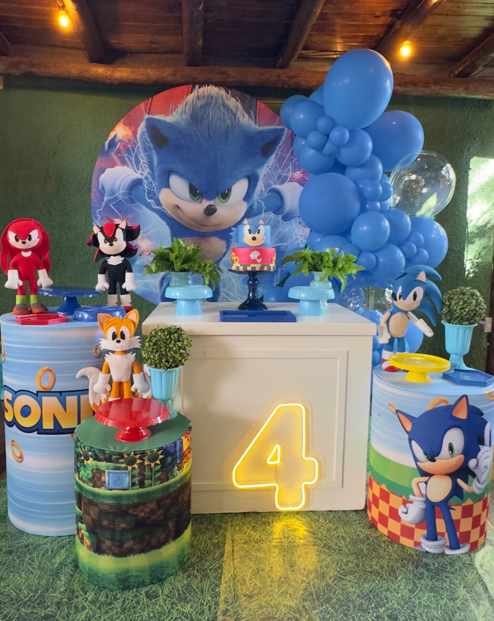 Sonic - Claudia Torrieri