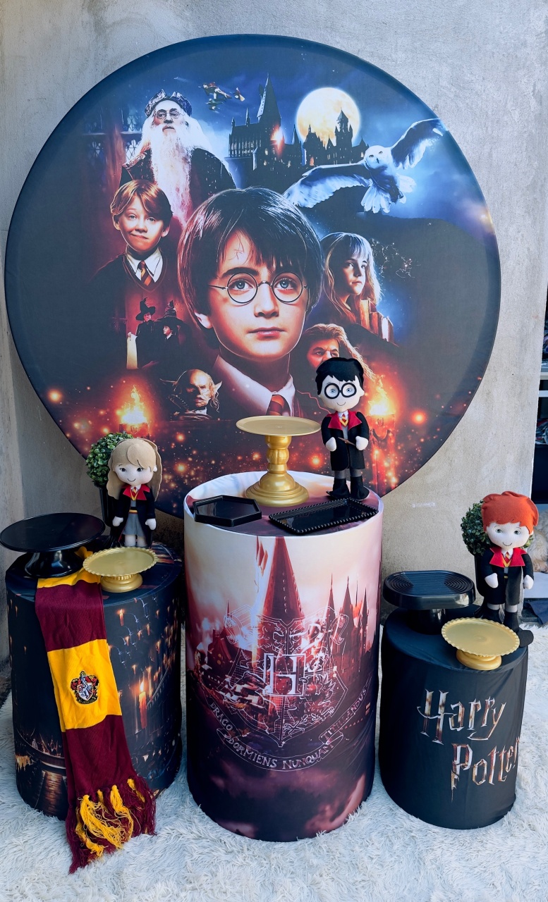 Harry Potter Pegue E Monte - Claudia Torrieri
