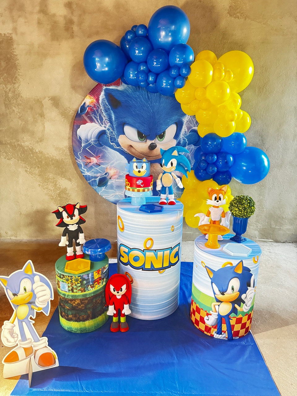 Sonic 1 - Claudia Torrieri