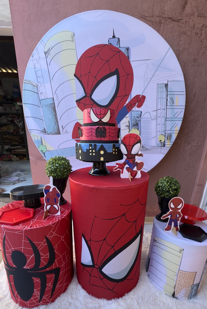 Homem Aranha Baby Pegue E Monte - Claudia Torrieri