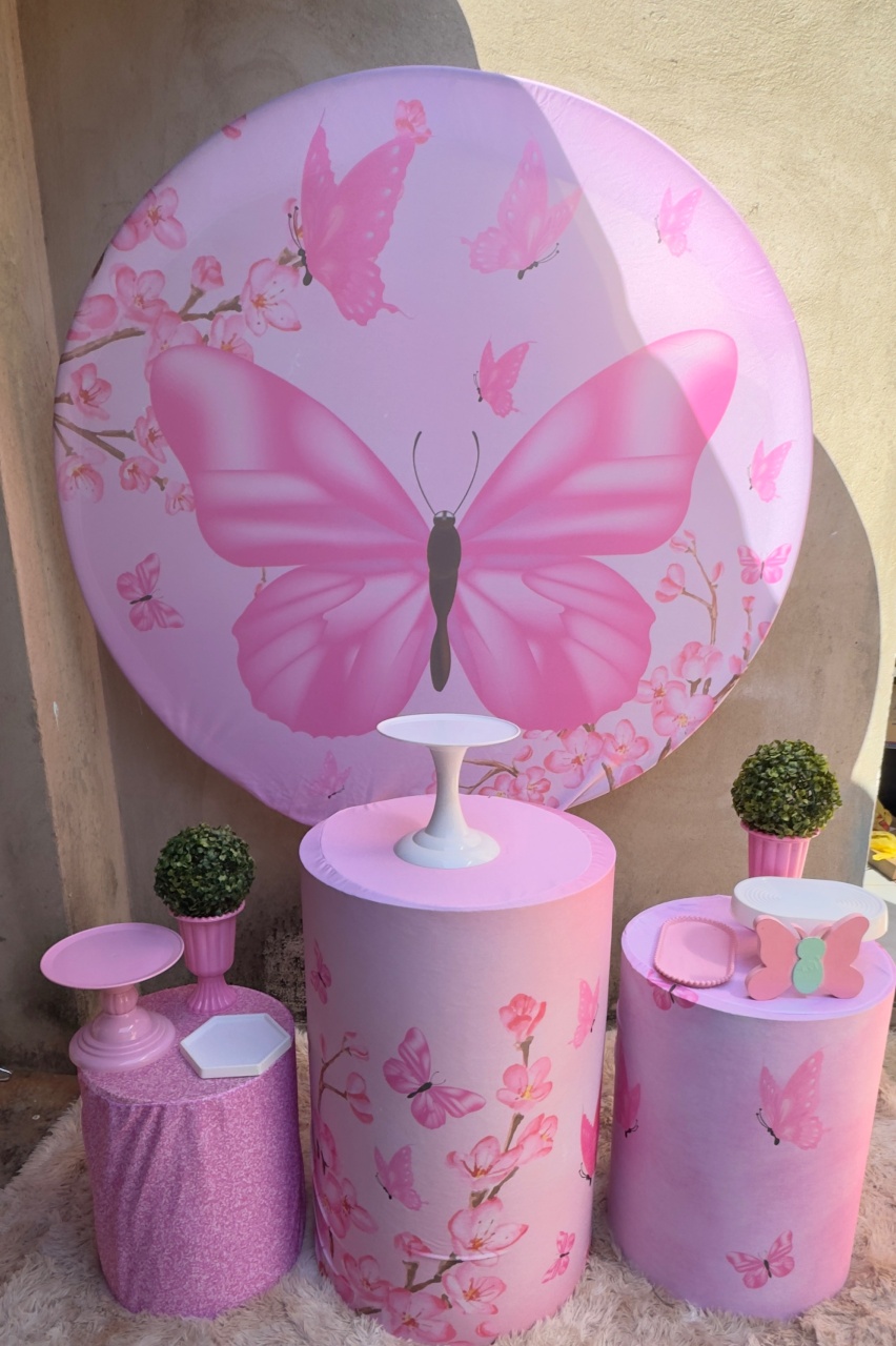 Borboleta Rosa Pegue E Monte - Claudia Torrieri