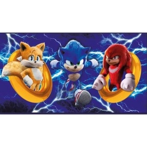 Painel Sonic - 3 Personagens - Girafa Festas
