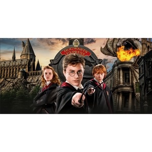 Painel Harry Potter  - Girafa Festas