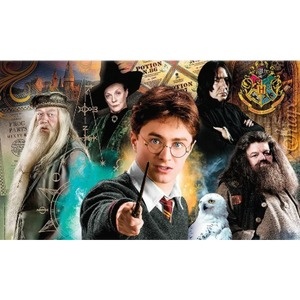 Painel Harry Potter - Girafa Festas