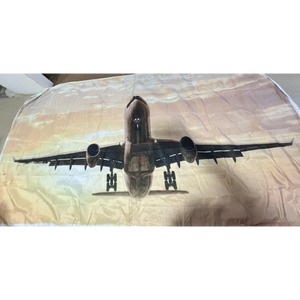 Painel Avião - Girafa Festas
