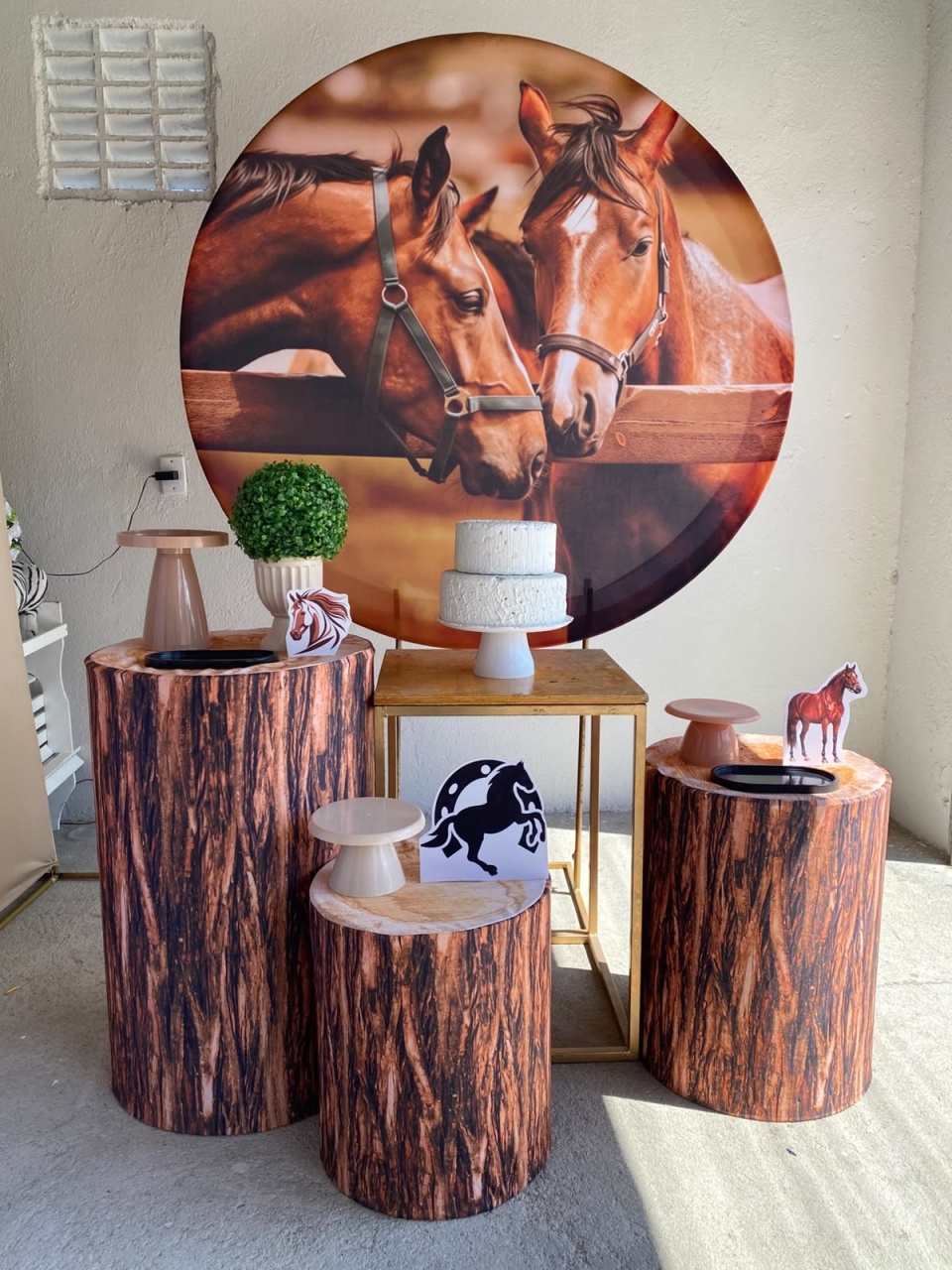 Cavalo Kit Ouro - Artes e Encantos locações