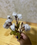 Flores Brancas - imagem 2
